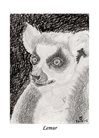 Lemur A7
