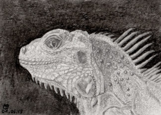 Igwana Print