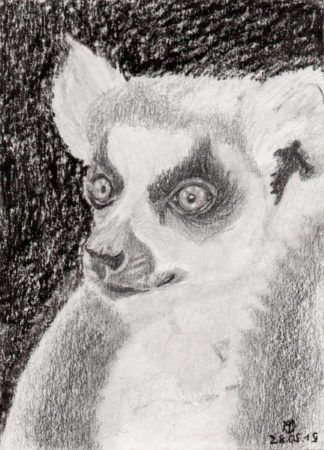Lemur
