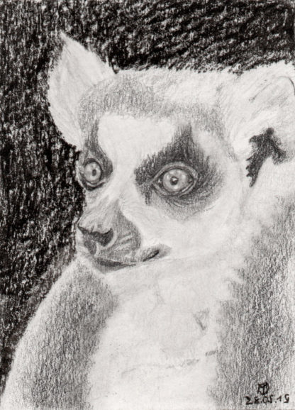Lemur