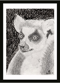 Lemur Sticker