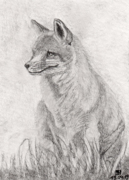 Llwynog Print