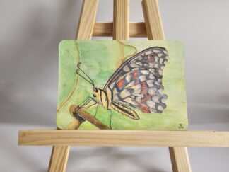 Postkarte: Schmetterling