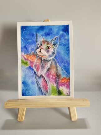 Galaxy Katze