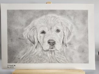 Golden Retriever Welpe Format ca. A4