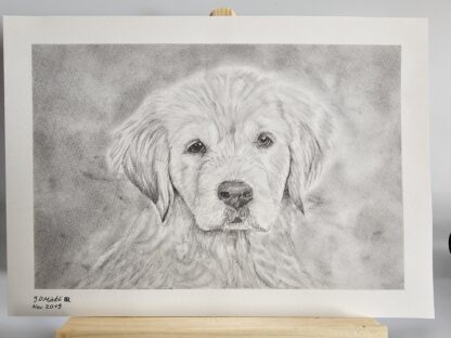 Golden Retriever Welpe Format ca. A4