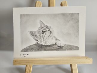 Kleine Katze Format ca. A5