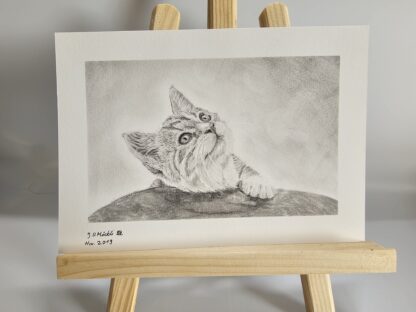 Kleine Katze Format ca. A5