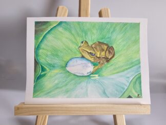 Kleiner Frosch auf einem Blatt