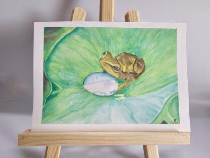 Kleiner Frosch auf einem Blatt