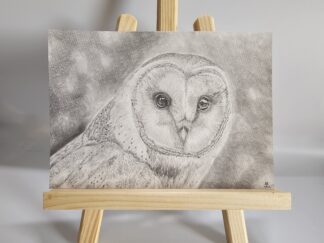 Schleiereule Format ca. A5