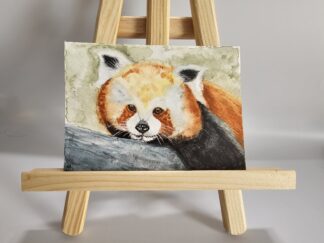 Postkarte: Roter Panda